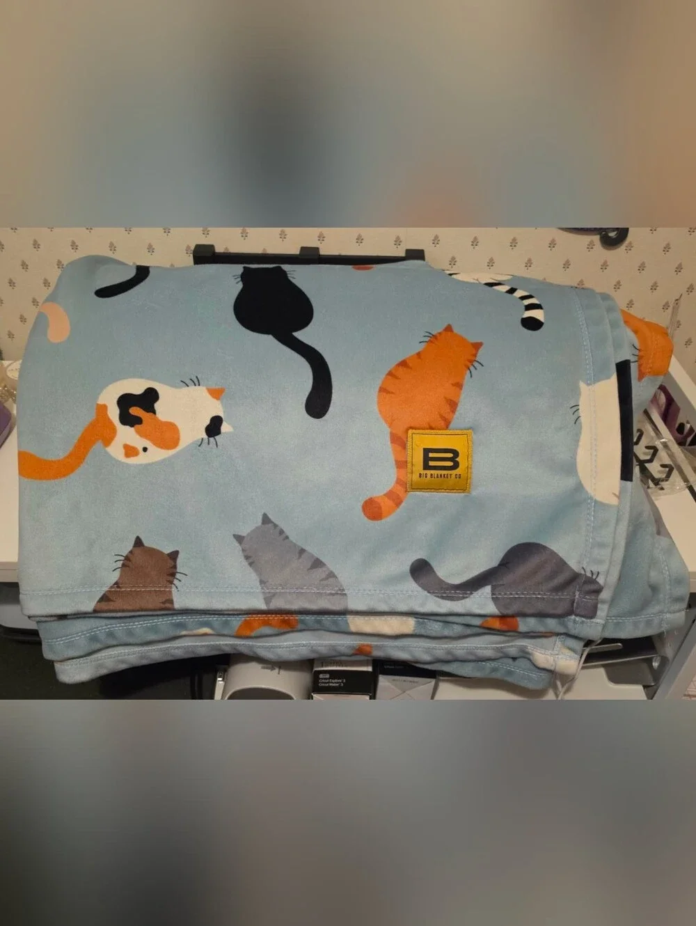 Blue Cat Print Big Blanket Co
